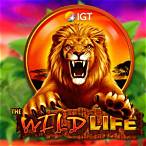 slot wild life gratis